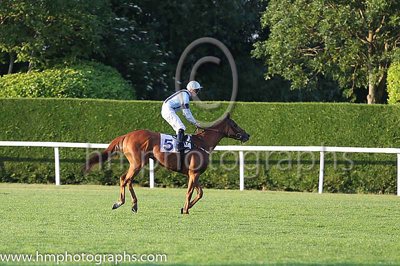 4th No 5 Hit List (IRE) (11) - Jockey: David Probert - Trainer: A M Balding - Colours: lightblue, black braces