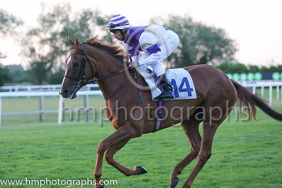 9th No 14 Rustique (5) - Jockey: Antonio Fresu - Trainer: Ed Walker - Colours: purple, white diabolo