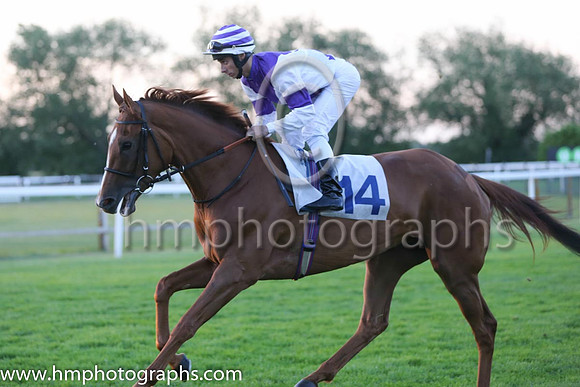 9th No 14 Rustique (5) - Jockey: Antonio Fresu - Trainer: Ed Walker - Colours: purple, white diabolo