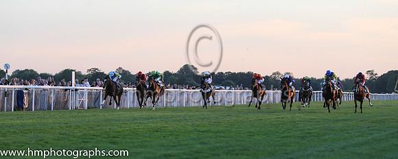 1st No 9 Taraz (6) - Jockey: T P Queally - Trainer: R Varian - Colours: light blue, yellow shouders