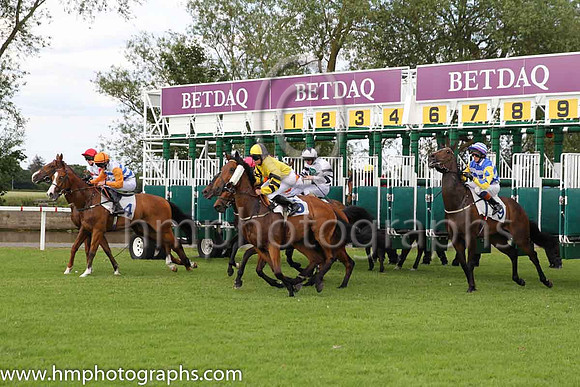 5th No 9 Monzino (USA) (9) - Jockey: Ciaran McKee - Trainer: M C Chapman - Colours: light blue and white hoops,
