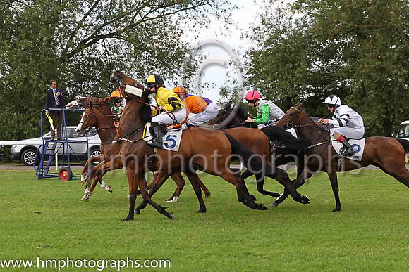 8th No 5 Bridge That Gap (8) - Jockey: Rhiain Ingram (7) - Trainer: R Ingram - Colours: yellow