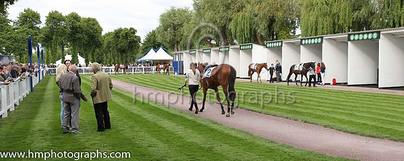 Windsor Racecourse Pre-parade ring