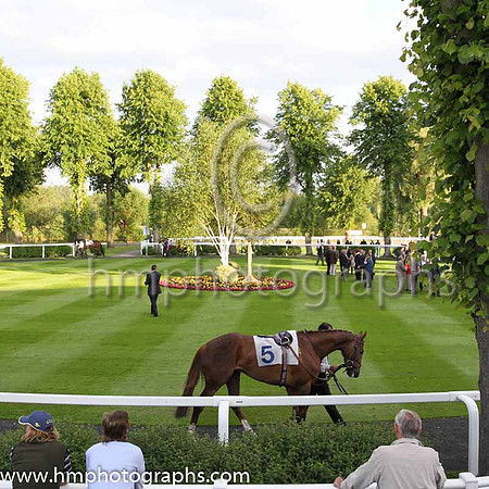 Royal Windsor Racecourse