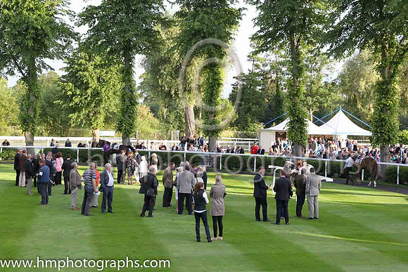 Royal Windsor Racecourse