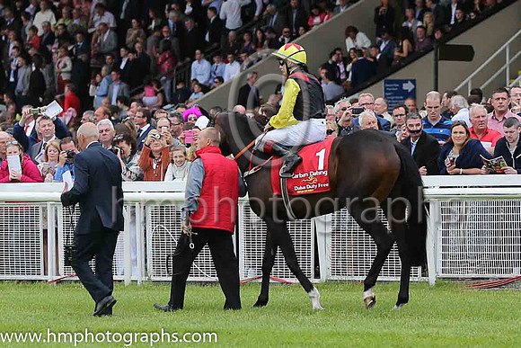 7th - 1 Carbon Dating - Trainer: John Patrick Shanahan - Jockey: RP Whelan - Owner: Thistle Bloodstock Limited - Colors: black, red epaulettes