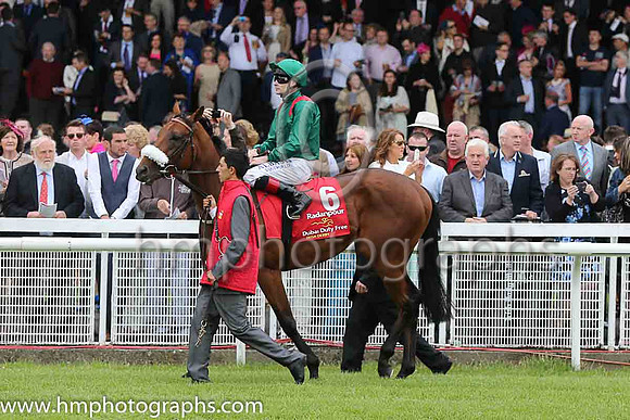 8th - 6 Radanpour - Trainer: D K Weld - Jockey: PJ Smullen - Owner: HHAga Khan - Colors: green, red epaulettes
