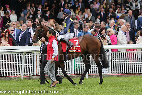 2nd - 7 Storm The Stars (USA) - Trainer: William Haggas (in GB) - Jockey: P Cosgrave - Owner: Sheikh Juma Dalmook Al Maktoum - Colors: dark blue, large yellow spots
