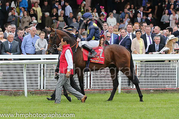 2nd - 7 Storm The Stars (USA) - Trainer: William Haggas (in GB) - Jockey: P Cosgrave - Owner: Sheikh Juma Dalmook Al Maktoum - Colors: dark blue, large yellow spots