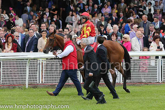 6th - 8 Qualify - Trainer: APO'Brien - Jockey: C O'Donoghue - Owner: Mrs CC Regalado-Gonzalez - Colors: red, yellow panel