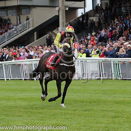 7th - 1 Carbon Dating - Trainer: John Patrick Shanahan - Jockey: RP Whelan - Owner: Thistle Bloodstock Limited - Colors: black, red epaulettes