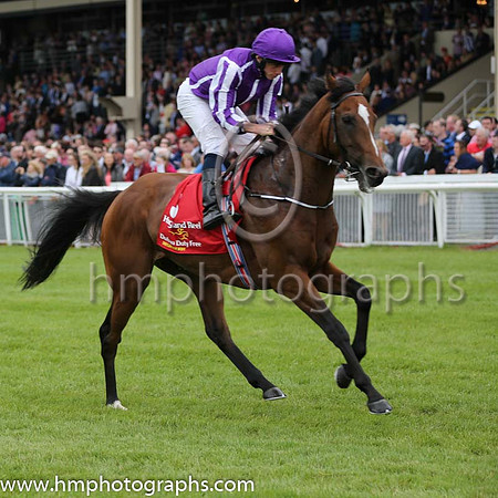 5th - 3 Highland Reel - Trainer: APO'Brien - Jockey: RL Moore - Owner: Derrick Smith/MrsJohn Magnier/Michael Tabor - Colors: purple, white seams