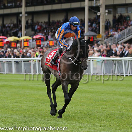 4th - 5 Kilimanjaro - Trainer: APO'Brien - Jockey: JA Heffernan - Owner: Michael Tabor/Derrick Smith/MrsJohn Magnier - Colors: royal blue, orange disc, blue cap