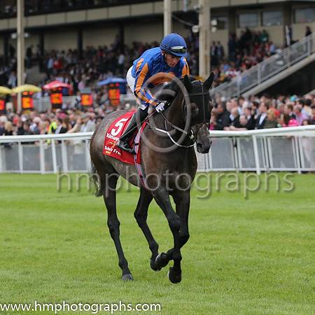 4th - 5 Kilimanjaro - Trainer: APO'Brien - Jockey: JA Heffernan - Owner: Michael Tabor/Derrick Smith/MrsJohn Magnier - Colors: royal blue, orange disc, blue cap