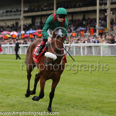 8th - 6 Radanpour - Trainer: D K Weld - Jockey: PJ Smullen - Owner: HHAga Khan - Colors: green, red epaulettes