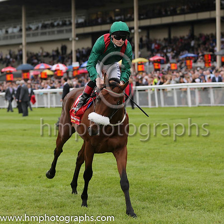 8th - 6 Radanpour - Trainer: D K Weld - Jockey: PJ Smullen - Owner: HHAga Khan - Colors: green, red epaulettes