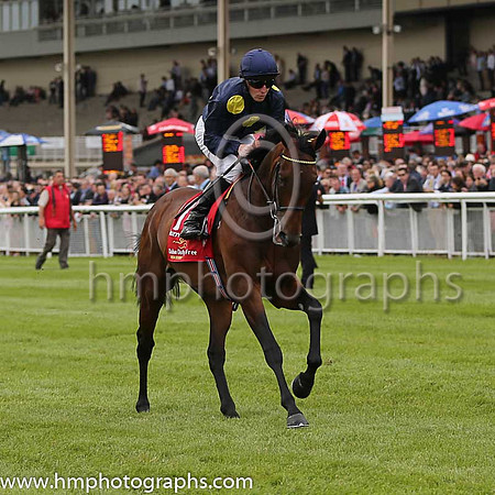2nd - 7 Storm The Stars (USA) - Trainer: William Haggas (in GB) - Jockey: P Cosgrave - Owner: Sheikh Juma Dalmook Al Maktoum - Colors: dark blue, large yellow spots