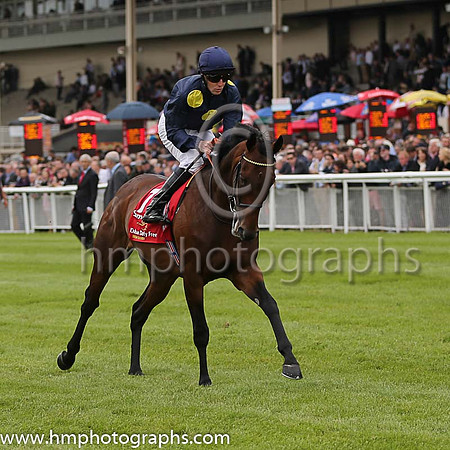 2nd - 7 Storm The Stars (USA) - Trainer: William Haggas (in GB) - Jockey: P Cosgrave - Owner: Sheikh Juma Dalmook Al Maktoum - Colors: dark blue, large yellow spots