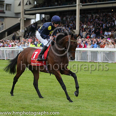 2nd - 7 Storm The Stars (USA) - Trainer: William Haggas (in GB) - Jockey: P Cosgrave - Owner: Sheikh Juma Dalmook Al Maktoum - Colors: dark blue, large yellow spots
