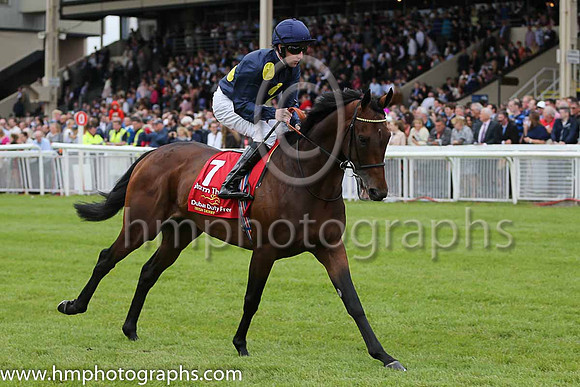 2nd - 7 Storm The Stars (USA) - Trainer: William Haggas (in GB) - Jockey: P Cosgrave - Owner: Sheikh Juma Dalmook Al Maktoum - Colors: dark blue, large yellow spots