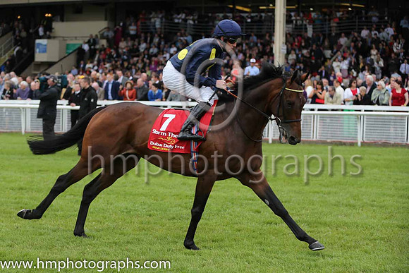 2nd - 7 Storm The Stars (USA) - Trainer: William Haggas (in GB) - Jockey: P Cosgrave - Owner: Sheikh Juma Dalmook Al Maktoum - Colors: dark blue, large yellow spots