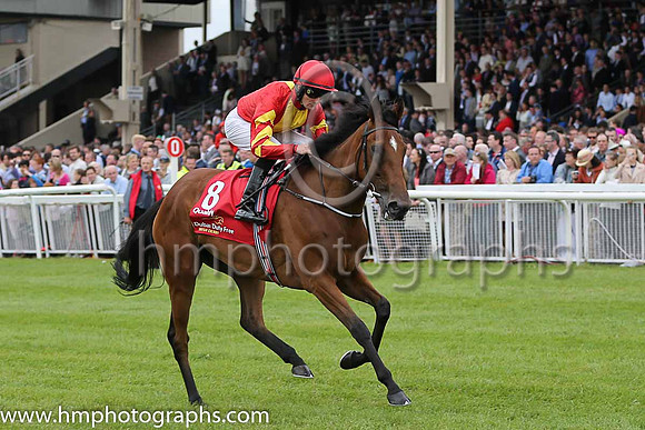 6th - 8 Qualify - Trainer: APO'Brien - Jockey: C O'Donoghue - Owner: Mrs CC Regalado-Gonzalez - Colors: red, yellow panel