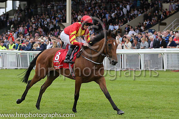 6th - 8 Qualify - Trainer: APO'Brien - Jockey: C O'Donoghue - Owner: Mrs CC Regalado-Gonzalez - Colors: red, yellow panel