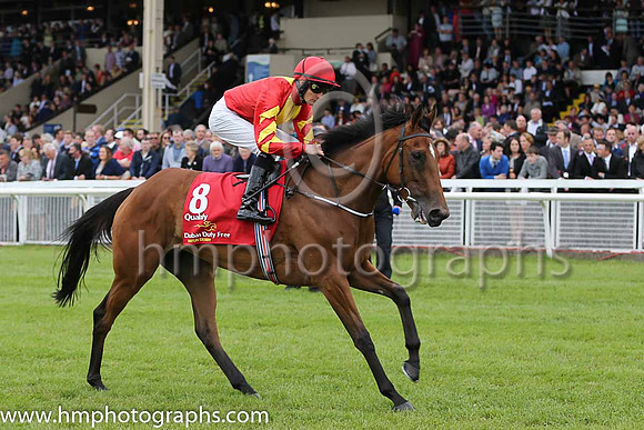 |6th - 8 Qualify - Trainer: APO'Brien - Jockey: C O'Donoghue - Owner: Mrs CC Regalado-Gonzalez - Colors: red, yellow panel