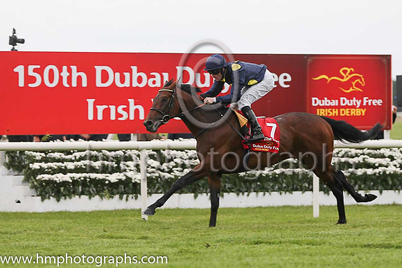 Storm The Stars and jockey Pat Cosgrave finish 2nd in the Duby Duty Free Irish Derby at the Curragh