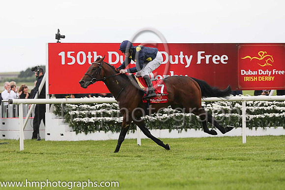 Storm The Stars and jockey Pat Cosgrave finish 2nd in the Duby Duty Free Irish Derby at the Curragh