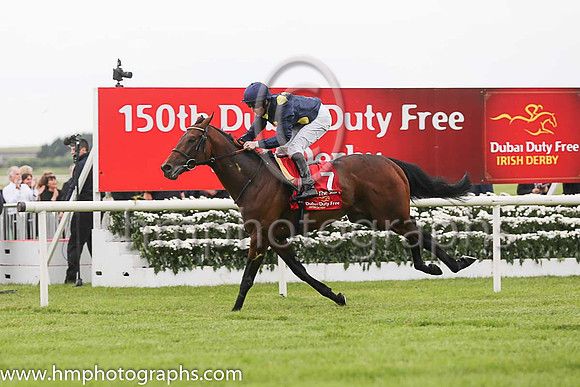 Storm The Stars and jockey Pat Cosgrave finish 2nd in the Duby Duty Free Irish Derby at the Curragh