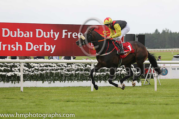 7th - 1 Carbon Dating - Trainer: John Patrick Shanahan - Jockey: RP Whelan - Owner: Thistle Bloodstock Limited - Colors: black, red epaulettes