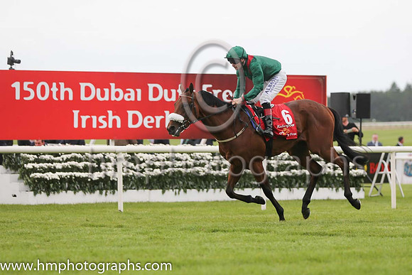 8th - 6 Radanpour - Trainer: D K Weld - Jockey: PJ Smullen - Owner: HHAga Khan - Colors: green, red epaulettes