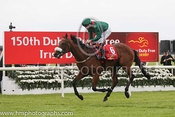 8th - 6 Radanpour - Trainer: D K Weld - Jockey: PJ Smullen - Owner: HHAga Khan - Colors: green, red epaulettes