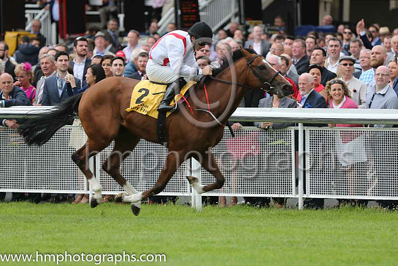 2nd - 2 Aspar - Trainer: T Stack - Jockey: WM Lordan - Owner: David S McGuinness/Miss Kerri McGuinness/JAStack - Colors: white,red braces