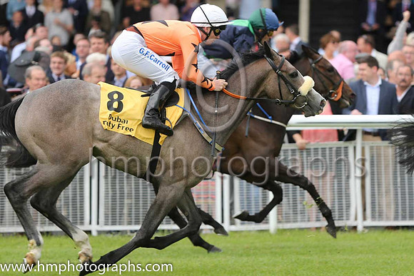 7th - 8 Twin Falls - Trainer: JF Levins - Jockey: GF Carroll - Owner: Seamus Mannion - Colors: orange, black star