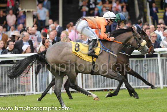 7th - 8 Twin Falls - Trainer: JF Levins - Jockey: GF Carroll - Owner: Seamus Mannion - Colors: orange, black star