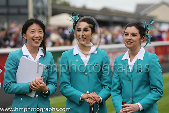 The Curragh on Derby Day