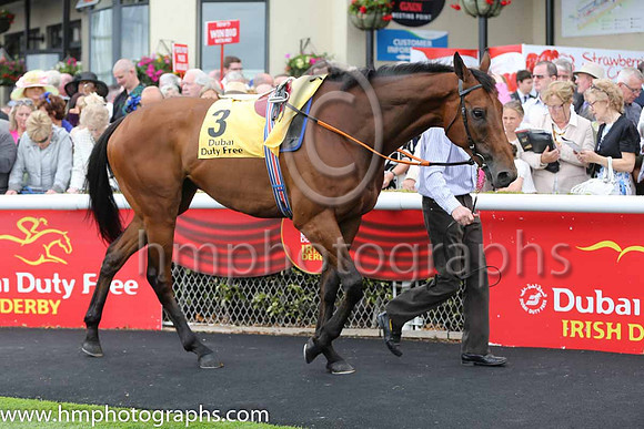 5th - 3 An Saighdiur - Trainer: Andrew Slattery - Jockey: WJ Lee - Owner: Men Of Forty Eight Syndicate - Colors: royal blue and tripe diampnds