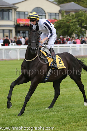 3rd - 2 Line Of Reason - Trainer: Paul Midgley (in GB) - Jockey: JP O'Brien - Owner: Taylor's Bloodstock Ltd - Colors: white, white and dark blue striped sleeves