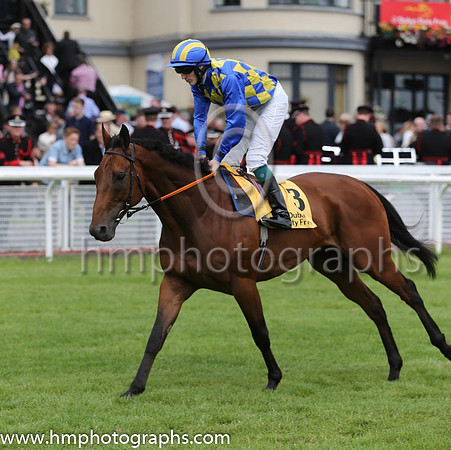 5th - 3 An Saighdiur - Trainer: Andrew Slattery - Jockey: WJ Lee - Owner: Men Of Forty Eight Syndicate - Colors: royal blue and tripe diampnds