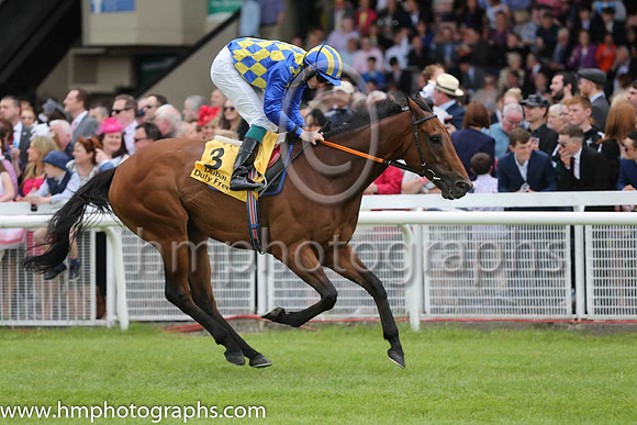 5th - 3 An Saighdiur - Trainer: Andrew Slattery - Jockey: WJ Lee - Owner: Men Of Forty Eight Syndicate - Colors: royal blue and tripe diampnds