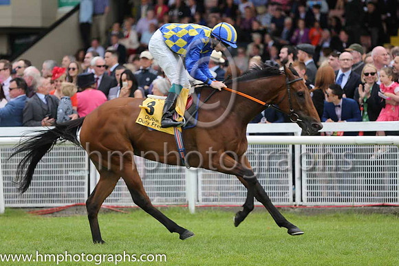 5th - 3 An Saighdiur - Trainer: Andrew Slattery - Jockey: WJ Lee - Owner: Men Of Forty Eight Syndicate - Colors: royal blue and tripe diampnds