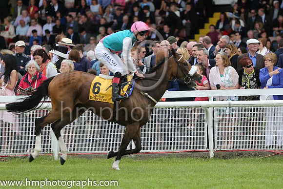 6th - 6 Tested (GB) - Trainer: D K Weld - Jockey: PJ Smullen - Owner: K Abdullah - Colors: emerald green, pink sash
