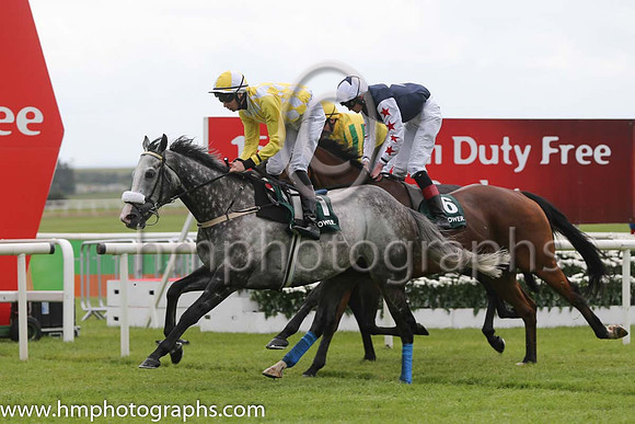 11th - 6 Hi Emperor - Trainer: David Marnane - Jockey: CR King - Owner: RGNicholls/Mrs Paul Duffin/Laurence O'Kane - Colors: dark blue, white star