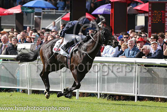 1st - 3 Painted Cliffs - Trainer: APO'Brien - Jockey: RL Moore - Owner: MrsJohn Magnier/Michael Tabor/Derrick Smith - Colors: dark blue