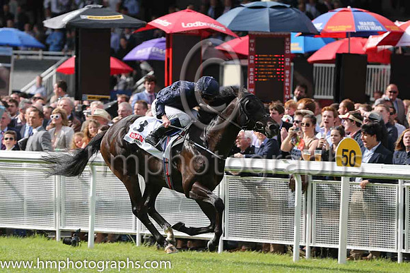 1st - 3 Painted Cliffs - Trainer: APO'Brien - Jockey: RL Moore - Owner: MrsJohn Magnier/Michael Tabor/Derrick Smith - Colors: dark blue