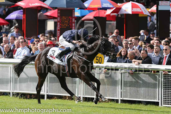 1st - 3 Painted Cliffs - Trainer: APO'Brien - Jockey: RL Moore - Owner: MrsJohn Magnier/Michael Tabor/Derrick Smith - Colors: dark blue