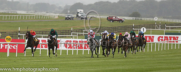 1st - 2 Silwana - Trainer: D K Weld - Jockey: PJ Smullen - Owner: HHAga Khan - Colors: green, red epaulettes