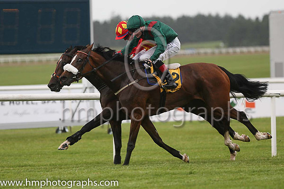 2nd - 8 Hurricane Ridge - Trainer: Mrs John Harrington - Jockey: NG McCullagh - Owner: Lakeside Racing Syndicate - Colors: red and yellow stripes